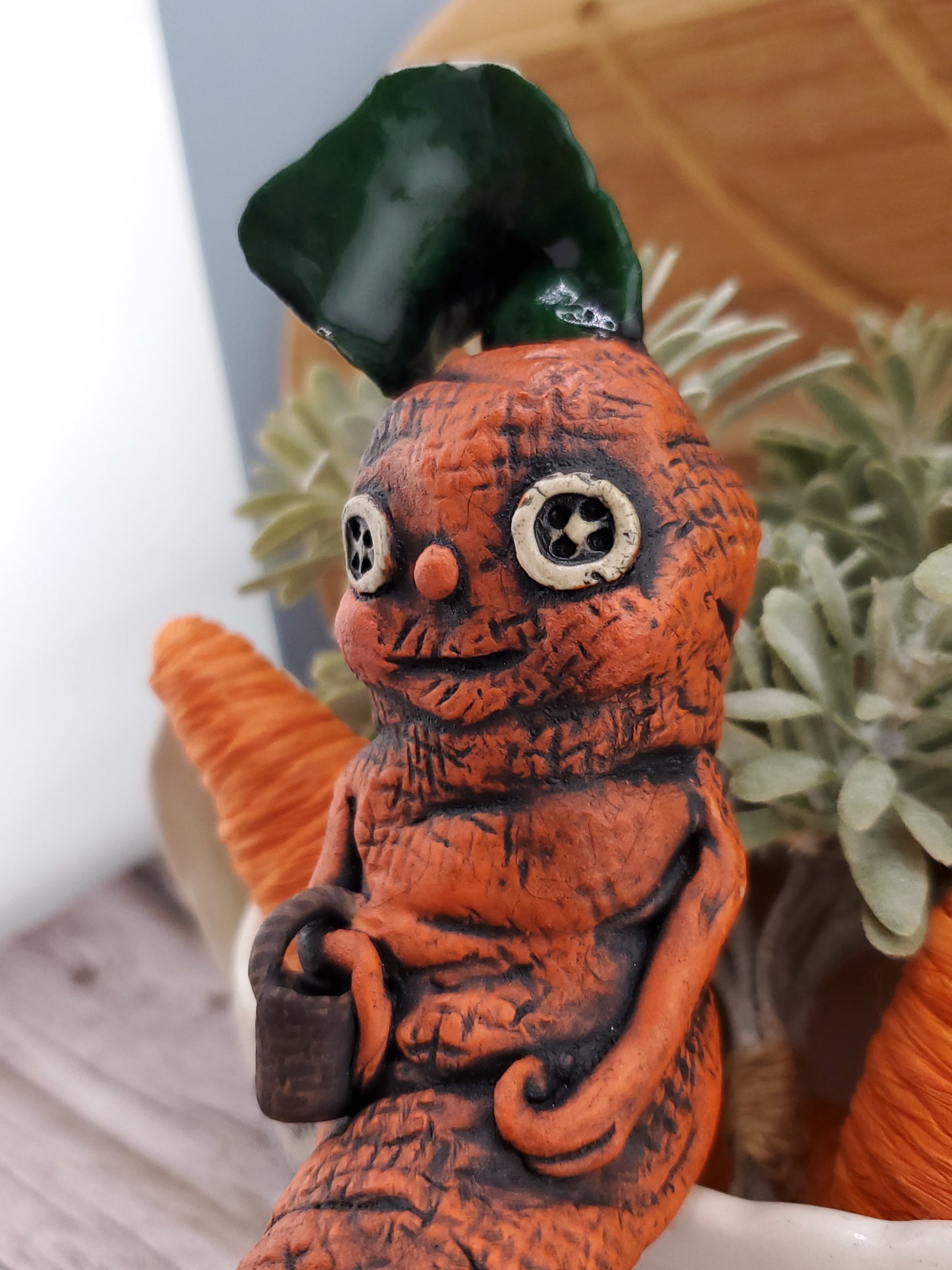 Stew the Organic Carrot