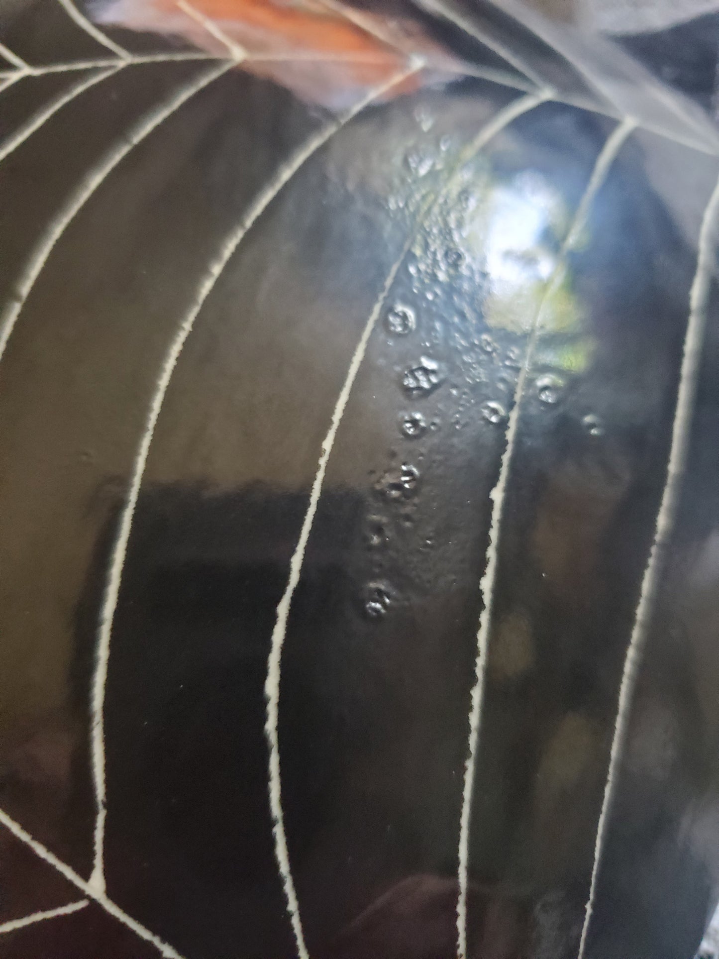 Johanna Parker Inspired Luna and Ghost Bowl.