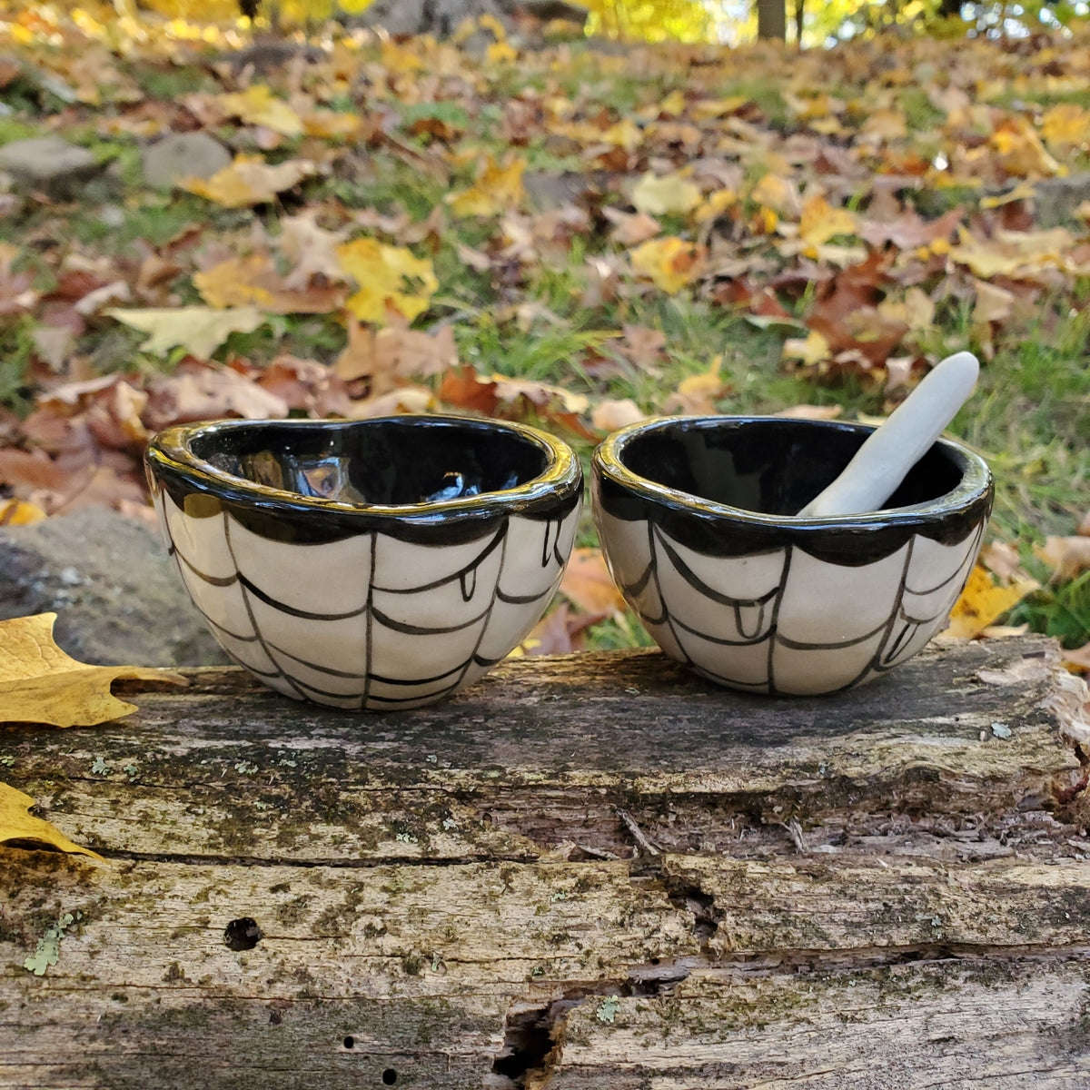 Salt and Pepper cellars